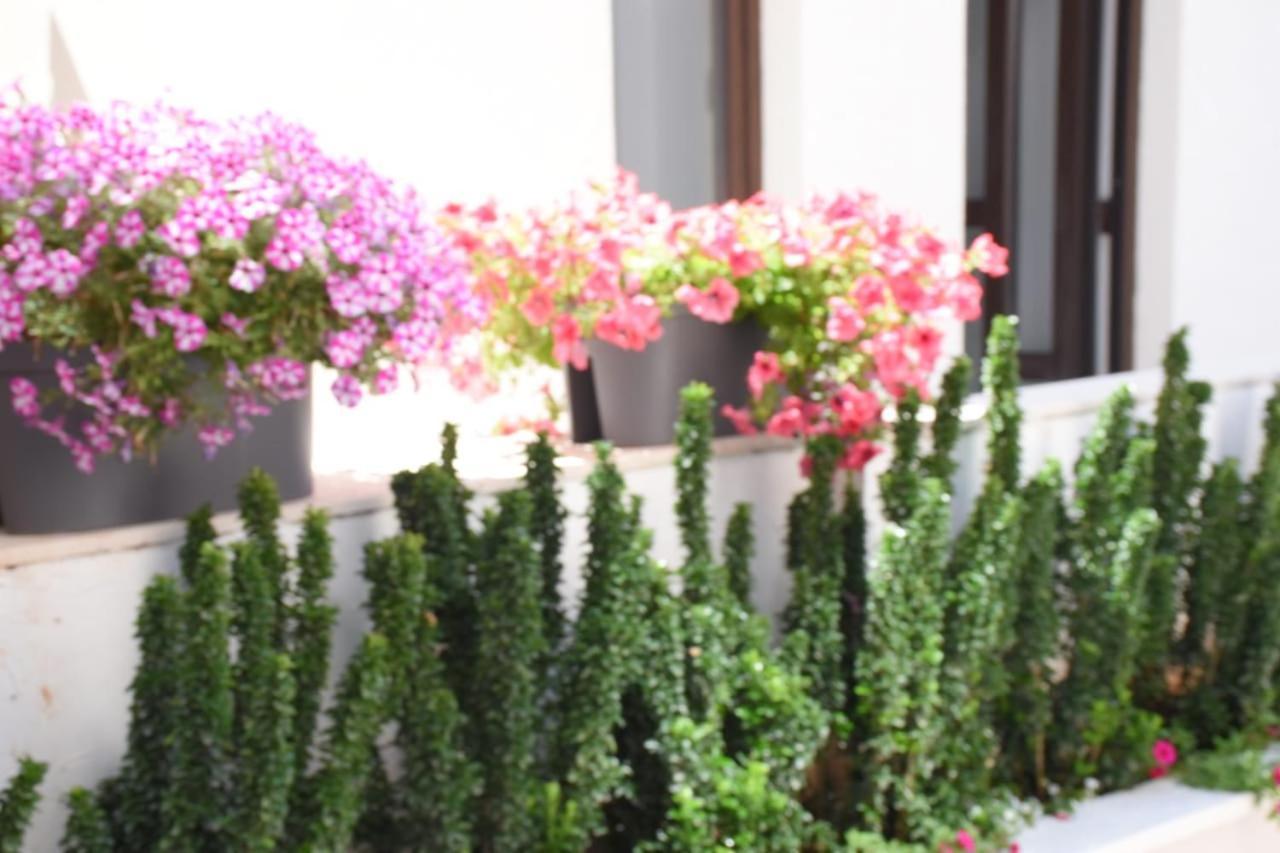 Apartments Petar Budva Bagian luar foto